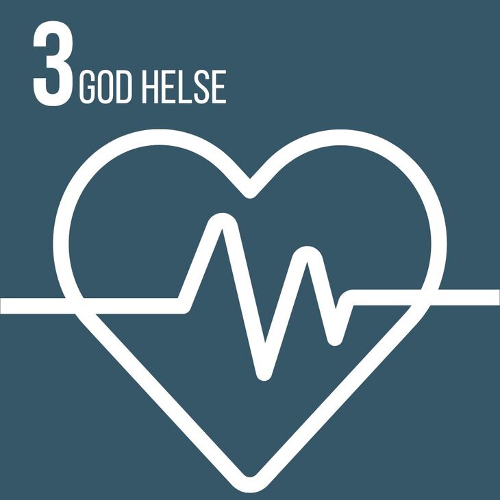 FNs bærekraftsmål 3-god helse
